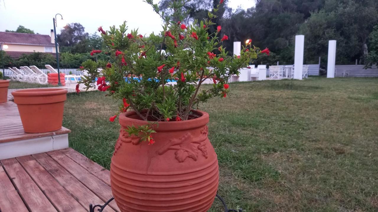 Amelia'S Garden Aparthotel Κάβος Εξωτερικό φωτογραφία