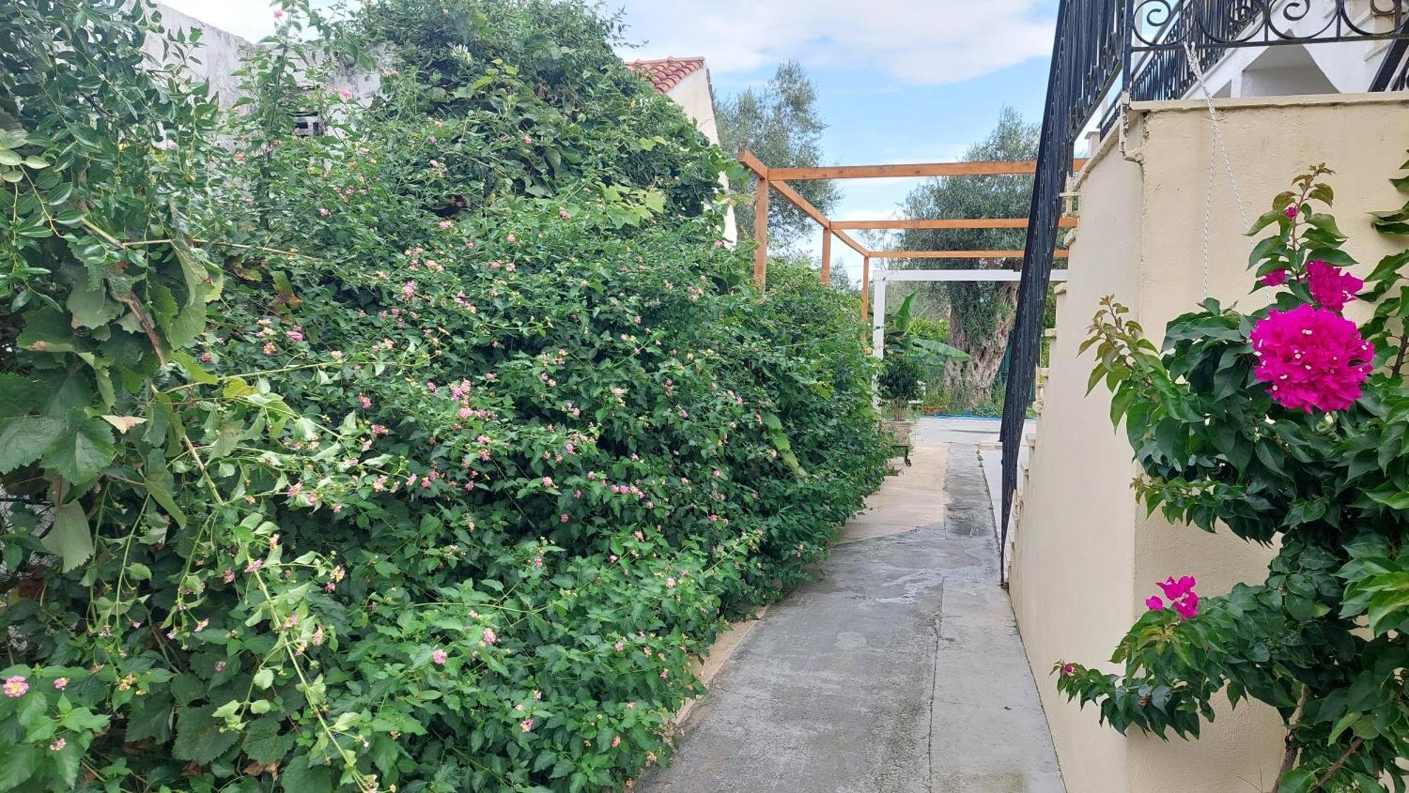 Amelia'S Garden Aparthotel Κάβος Εξωτερικό φωτογραφία