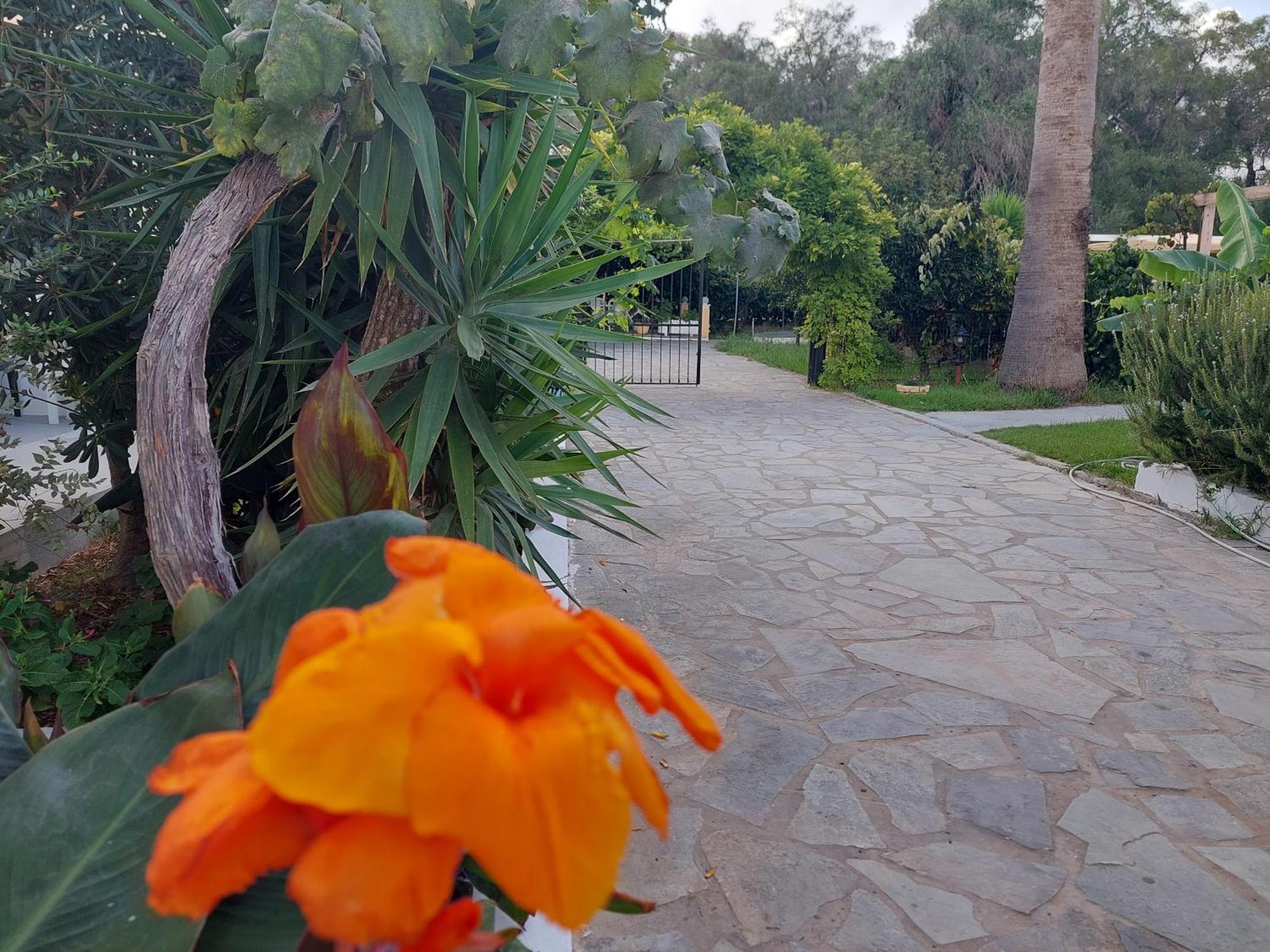 Amelia'S Garden Aparthotel Κάβος Εξωτερικό φωτογραφία